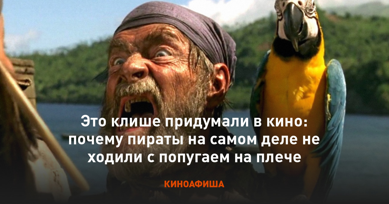 Это клише придумали в кино: почему пираты на самом деле не ходили с  попугаем на плече