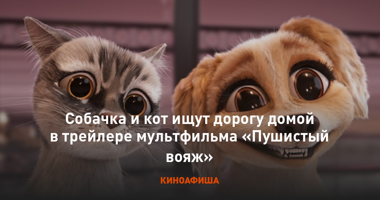 Собачка и кот ищут дорогу домой в трейлере мультфильма «Пушистый вояж»