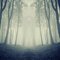 Carolina (From Where the Crawdads Sing) - Single