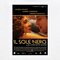 Il sole nero (Original Motion Picture Soundtrack)