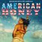 American Honey (Original Motion Picture Soundtrack)