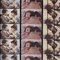 Jules et Jim (Original Motion Picture Soundtrack) [Remastered]