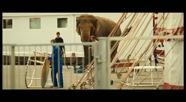 The Elephant - trailer