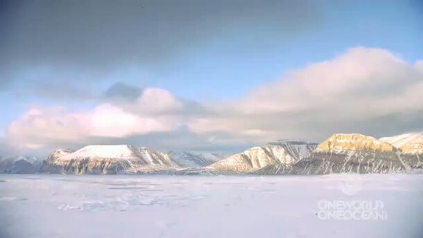Арктика IMAX 3D - трейлер 1