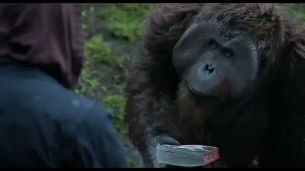 Dawn of the Planet of the Apes - fragment 2