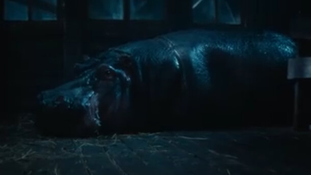 Красавица - тизер-трейлер