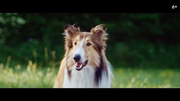 Lassie Come Home - second trailer in russian