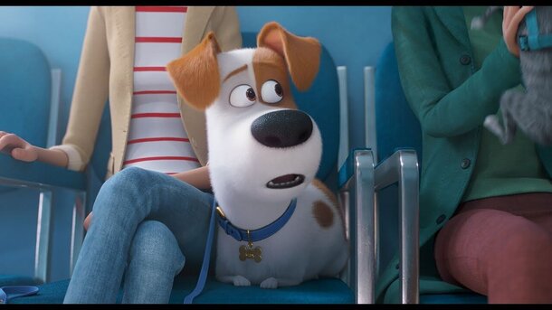 The Secret Life of Pets 2 - second trailer in russian