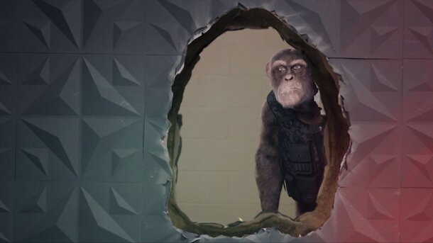 Шимпанзе под прикрытием - trailer