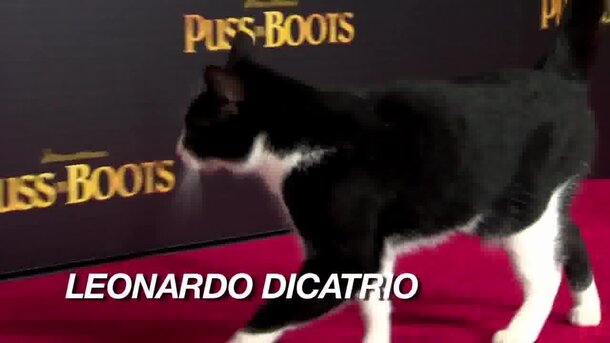 Кот в сапогах - промо-ролик 5: Cat Premiere 