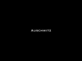 Auschwitz - teaser
