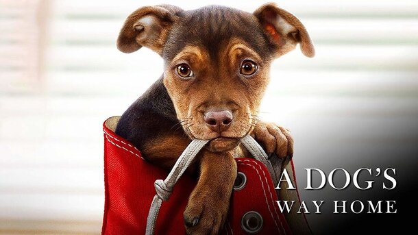 A Dog's Way Home - trailer in russian
