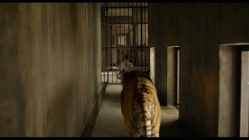 Life of Pi - fragment 4