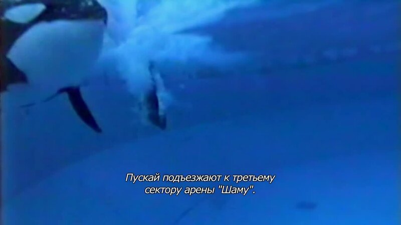 Черный плавник - трейлер с русскими субтитрами