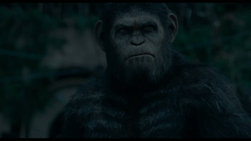 Dawn of the Planet of the Apes - international trailer 2