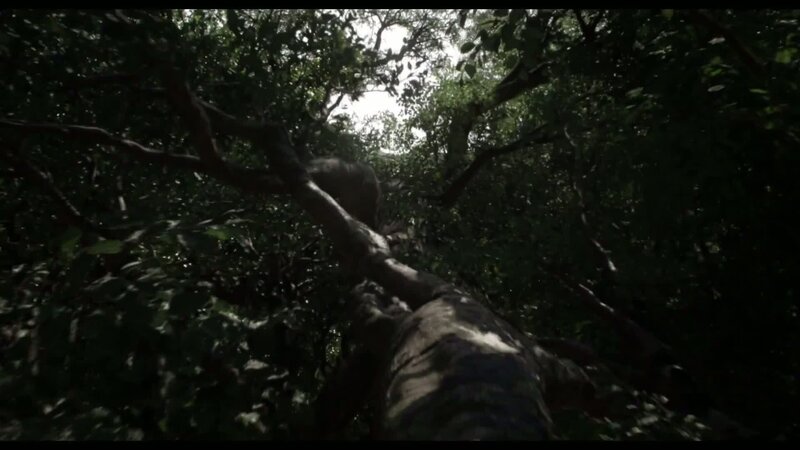 The Jungle Book - teaser-trailer