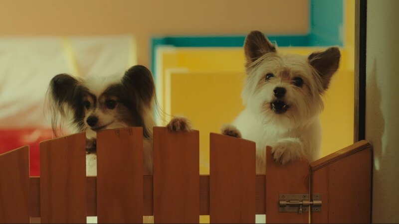 Dog Days - russian teaser