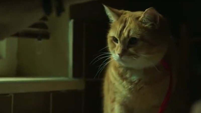 A Gift from Bob - teaser