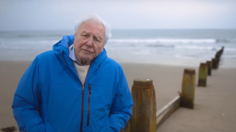 Ocean with David Attenborough - Trailer