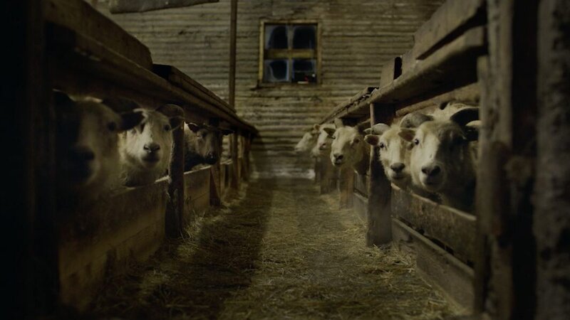 Lamb - trailer in russian