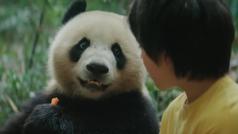 Moon le panda - trailer