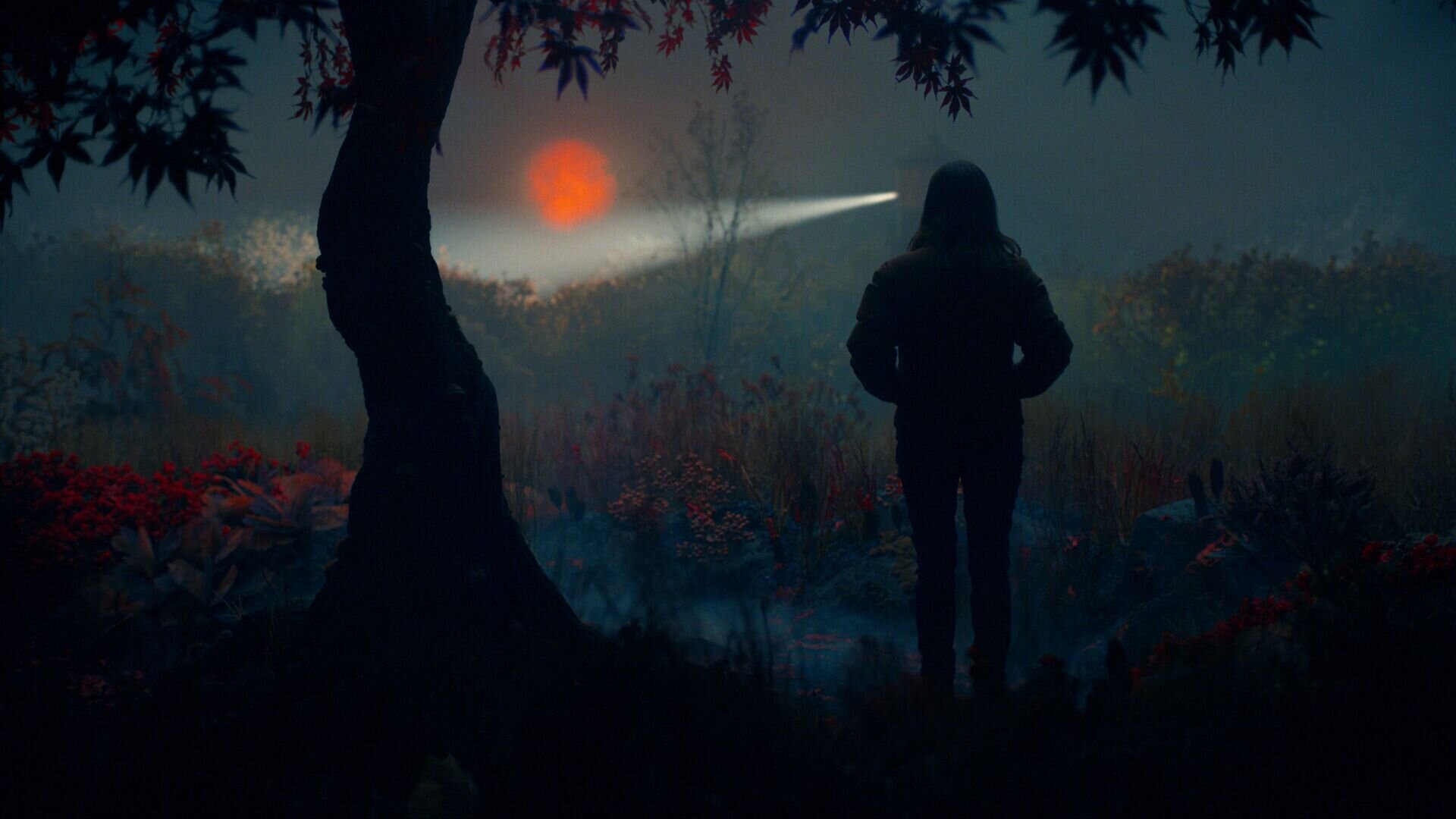 История Лизи - trailer