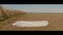 Петля времени - отрывок 4