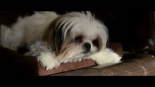 Seven Psychopaths - тв ролик 14