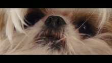 Seven Psychopaths - fragment 8