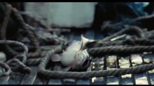 Звери дикого Юга - тв ролик 1