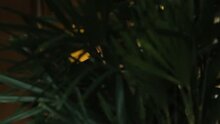 People Like Us - fragment 4