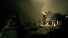 The Grey - trailer