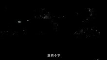 The Grandmaster - trailer 1