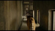 Life of Pi - fragment 4