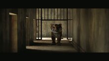 Life of Pi - клип к фильму