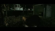 Crystal Fairy - fragment 2