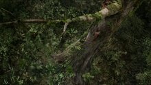 After Earth - fragment 3