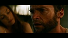 The Wolverine - fragment 7