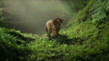 Walking with Dinosaurs 3D - trailer 3