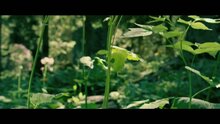 Букашки. Приключение в Долине муравьев - дублированный трейлер 1