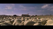 A Million Ways to Die in the West - trailer без цензуры 2