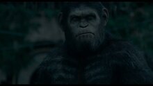 Dawn of the Planet of the Apes - international trailer 2