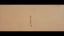 Тропы - трейлер с закадровым переводом