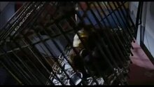 Амазония: инструкция по выживанию - дублированный трейлер 1