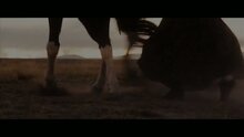 Местный - трейлер