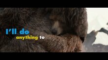 Paddington - музыкальное видео к фильму