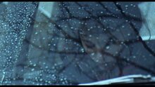 Carol - fragment 2
