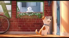 Тайная жизнь домашних животных - трейлер 1