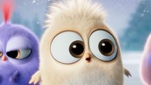 Angry Birds в кино - промо-ролик: с наступающим!