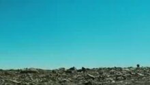Квант милосердия - &nbsp;